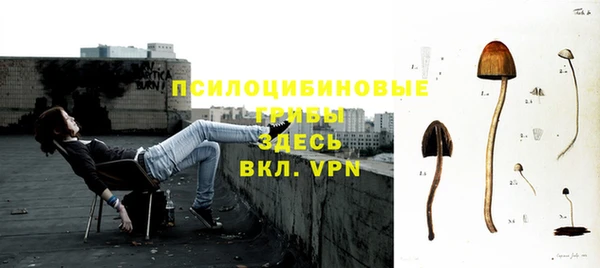 соль курить ск Арсеньев