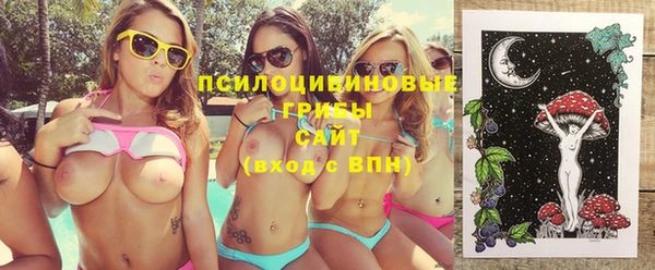 ГАЛЛЮЦИНОГЕННЫЕ ГРИБЫ Аркадак