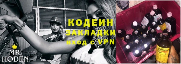 ГАЛЛЮЦИНОГЕННЫЕ ГРИБЫ Аркадак