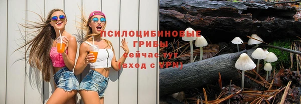 ГАЛЛЮЦИНОГЕННЫЕ ГРИБЫ Аркадак