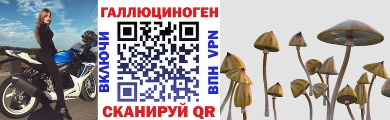 Псилоцибиновые грибы ЛСД kraken зеркало Полярный цена
